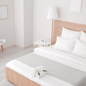 Finding Serenity: How Hotel Silver Peace’s Comfortable AC Rooms Solved Riya's Travel Woes