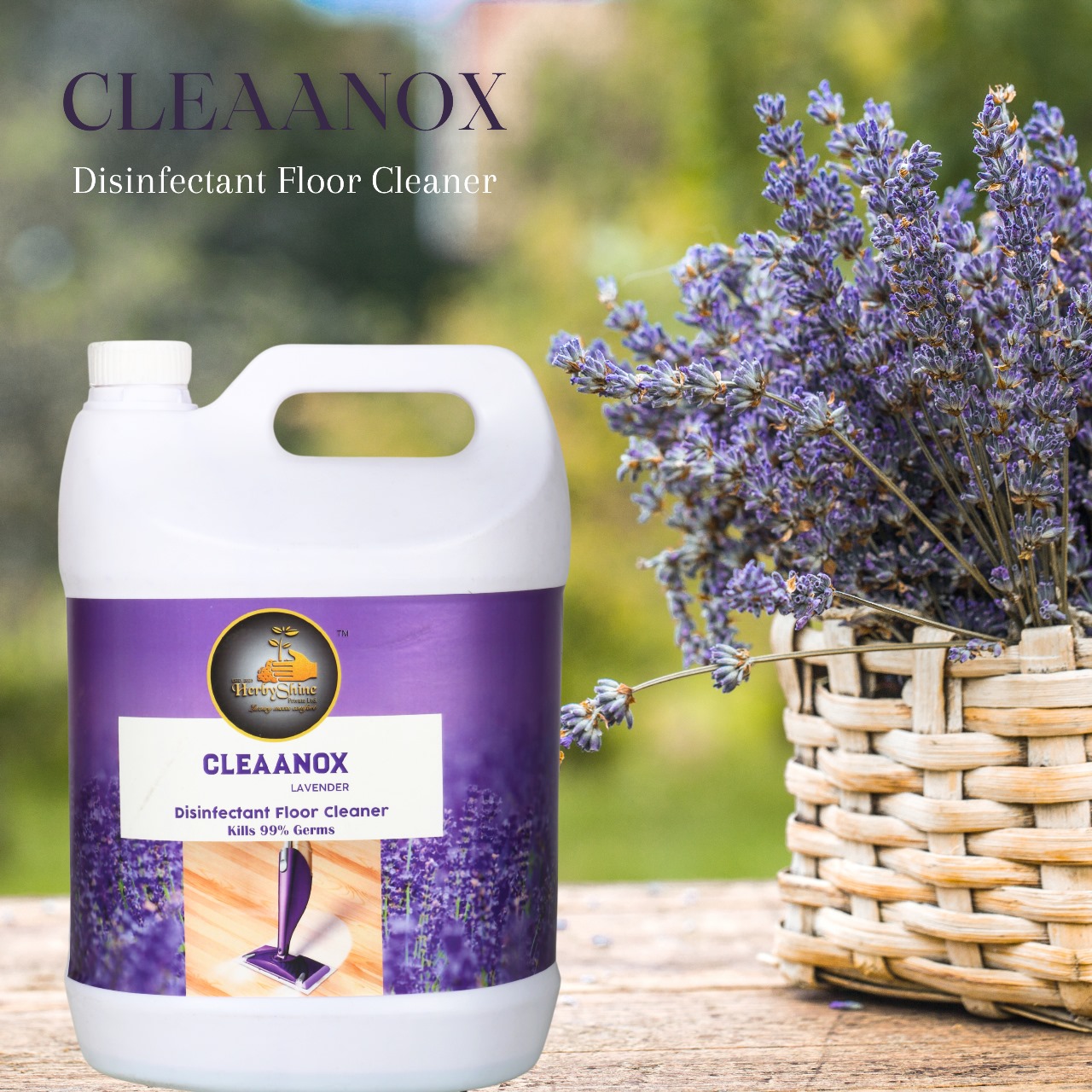 Transforming Homes: How Cleaanox Lavender Disinfectant Floor Cleaner Solves Your Cleaning Woes