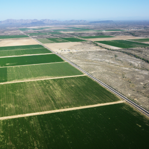 Discover the Ideal Retreat: Investing in Farmhouse Plots and Farmland