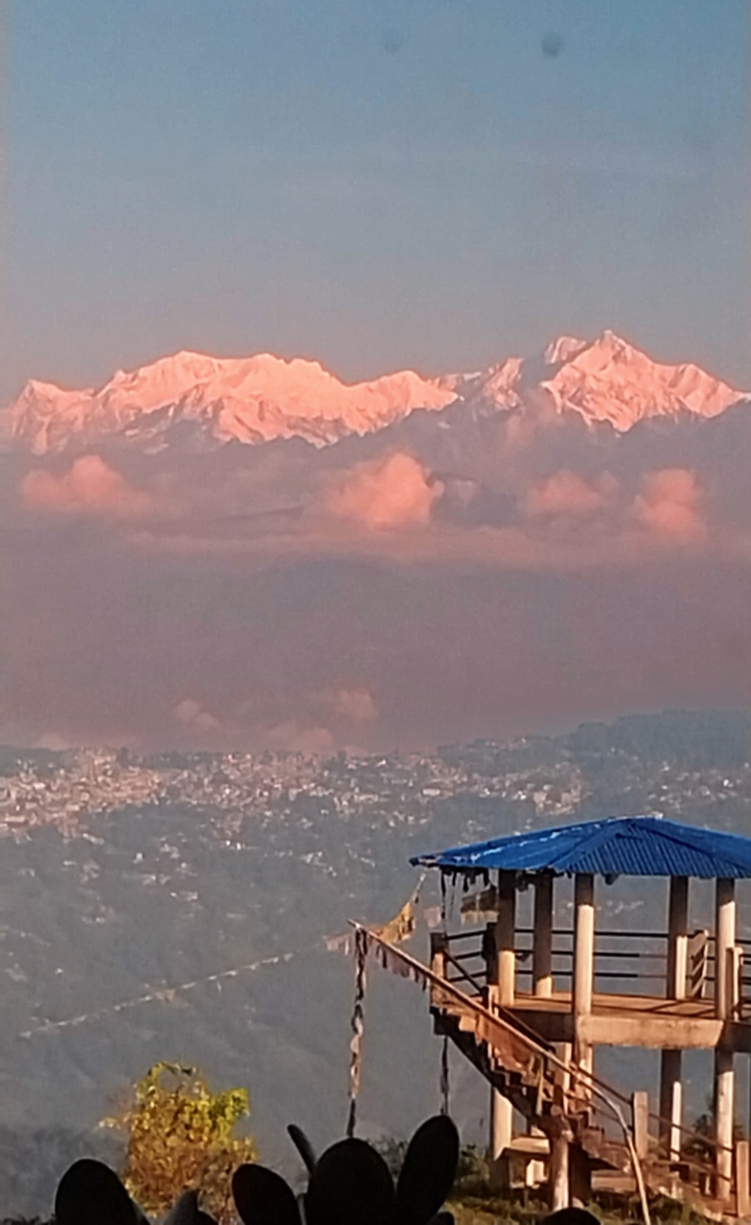 Finding Peace in the Mountains: Alpines Charkhole Homestay's Promise to Urban Souls