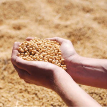 Transform Your Business with Expert Product Sourcing: A Story of Success