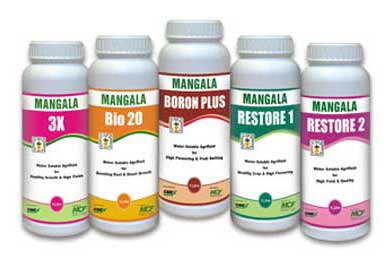 Revitalize Your Farm: How Fertilizers Transformed Arjun’s Harvest