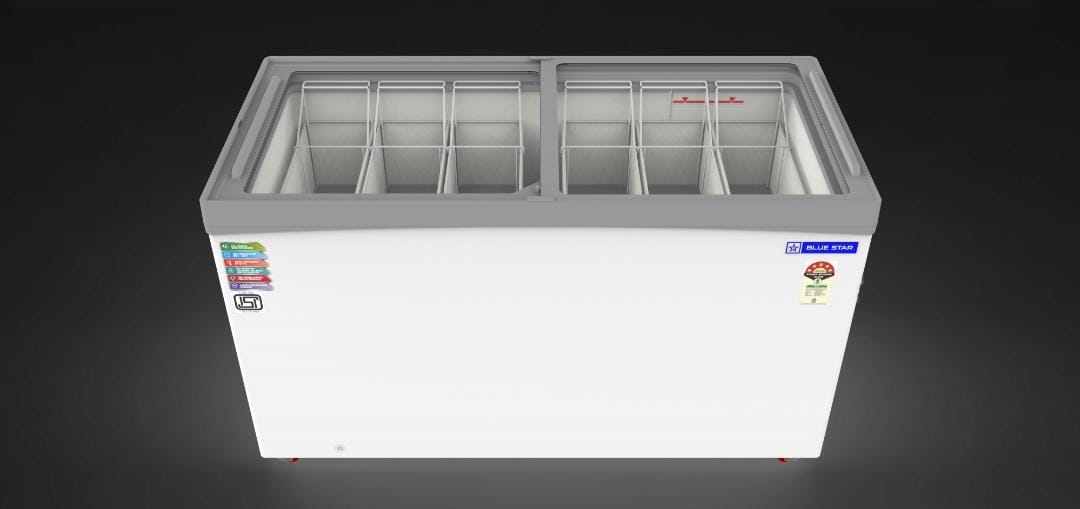 Revolutionizing the Food Industry: How 5-Star Deep Freezers Transformed Priya's Business