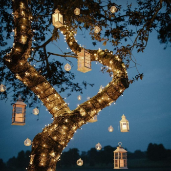 Transforming Dreams into Reality: The Power of Event Design in Vadodara