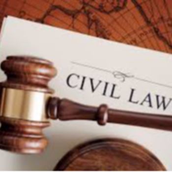 Finding Justice: How Priya Overcame Her Legal Hurdles with Expert Guidance