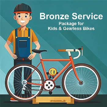 Revolutionizing the Ride: How Dakshita Cycles' Bronze Service Transforms Kids' Biking Experience