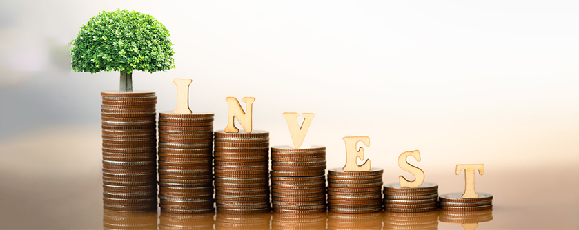 Empowering Financial Independence: How Bharat Finserv Investment Solutions Transformed Riya's Future