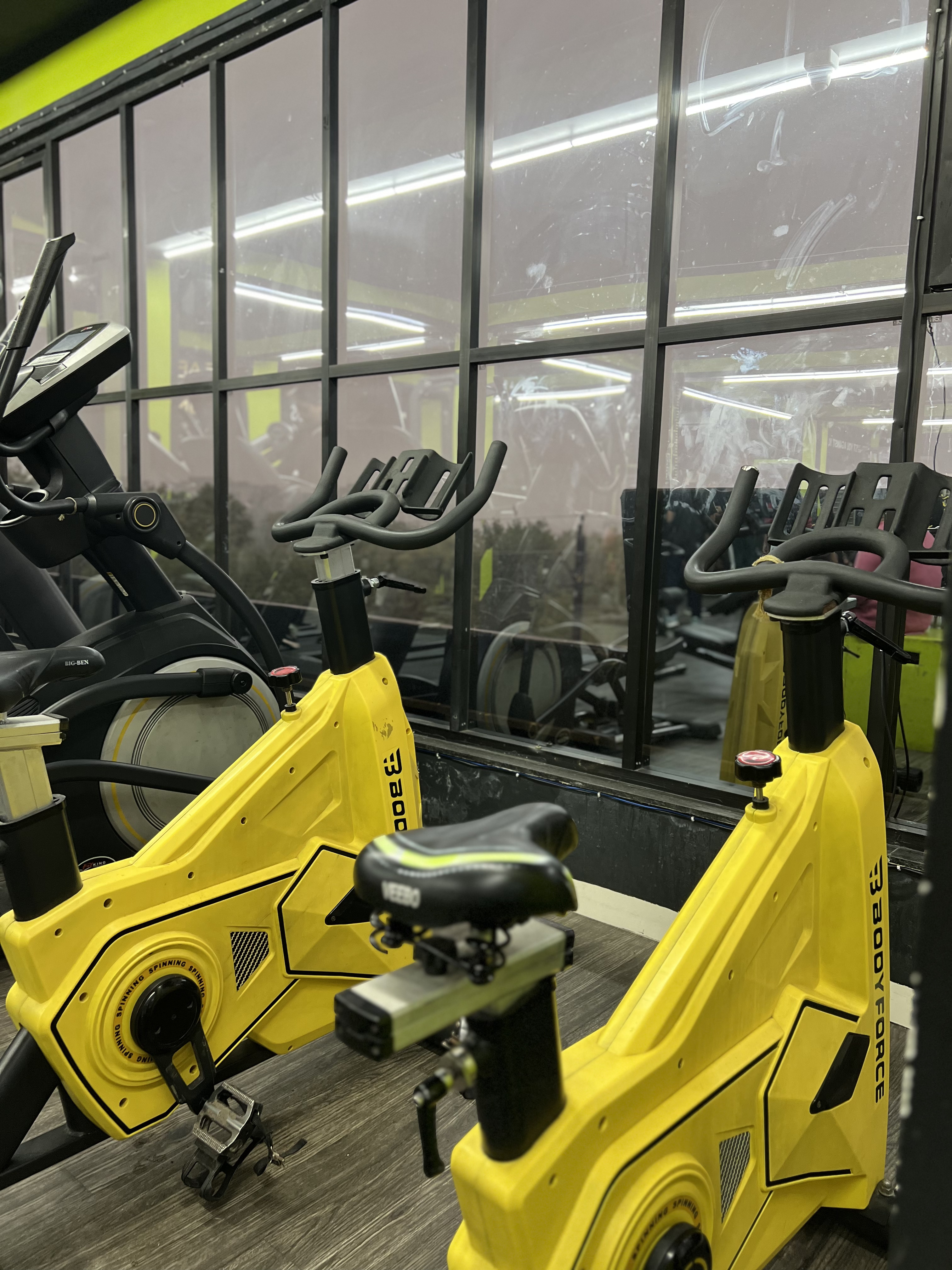 Transform Your Home into a Fitness Hub: The Story of Urban Bull Fitness