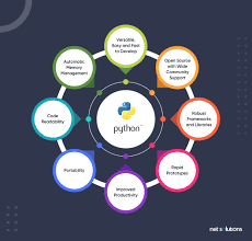 Empowering India's Tech Dreamers: A Journey into Python Mastery