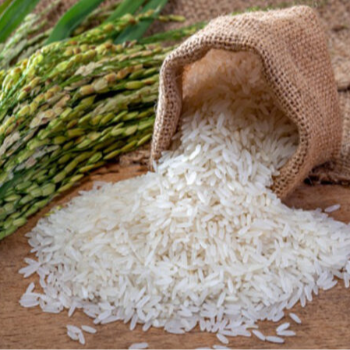 Rice Traders' Dream: Solving Supply Chain Challenges for Indian Exporters