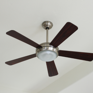 Discover the Perfect Breeze: How Ceiling Fans Transform Indian Homes