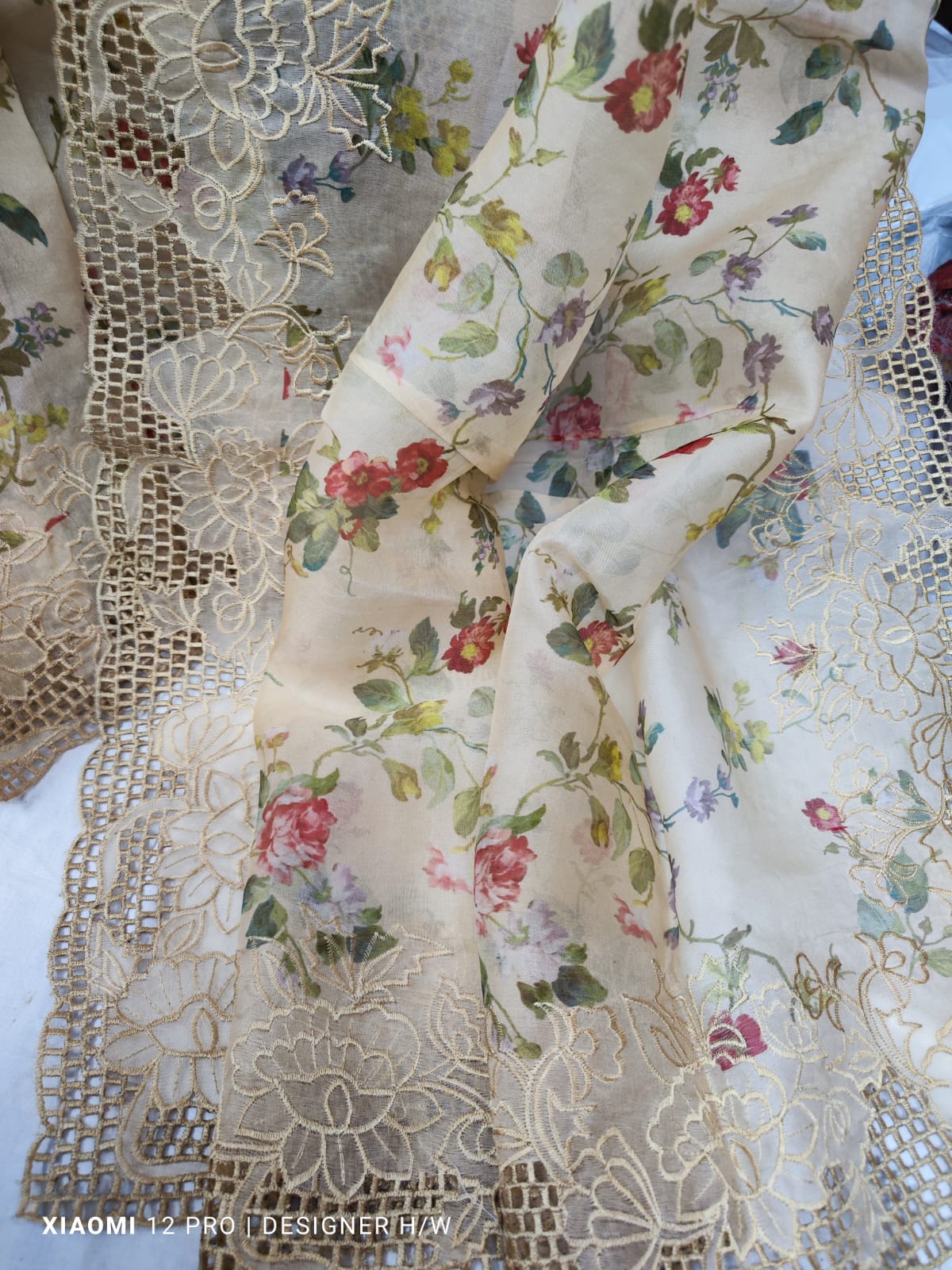 The Allure of Digital Organza Silk with Cutwork: A Tale of Elegance and Solution