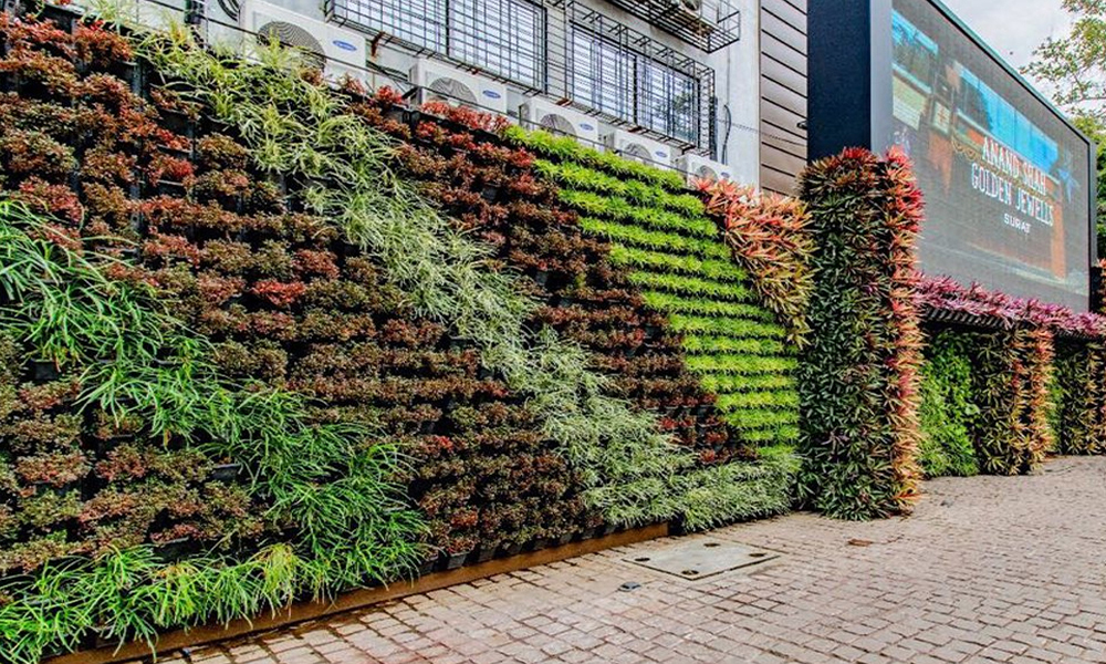Transform Your Urban Space with Vertical Gardens: A Green Revolution for Modern Indians