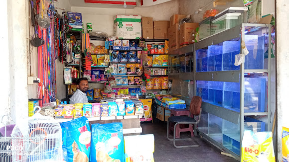 A Splash of Serenity: How Aquariums Transform Lives in Urban India