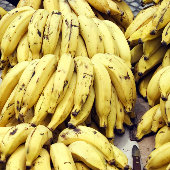 The Secret to Health and Happiness: How Bananas Can Transform Your Life | Shiv keri Bhandar