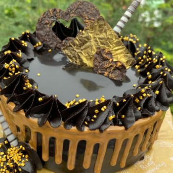 The Emotional Delight: How Chocolate Truffle Cake Became Priya's Celebration Savior