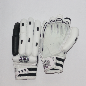 Master Your Game: How VK Edition Batting Gloves Revolutionized Rohan’s Cricket Journey