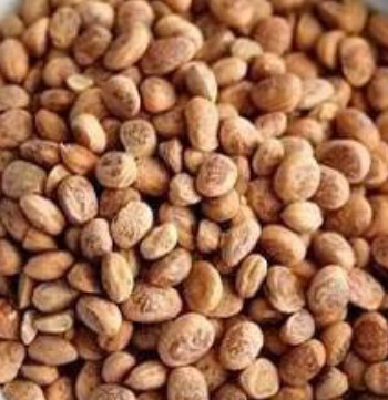 Unleashing the Power of Charoli: A Nutty Solution to Everyday Culinary Challenges