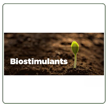 Empowering Indian Farmers: The Life-Changing Impact of Bio-Stimulants