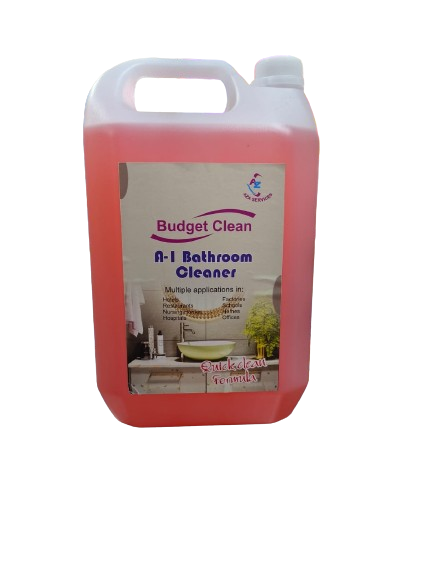 Revitalize Your Home: How a Bathroom Cleaner Transformed Sneha's Space