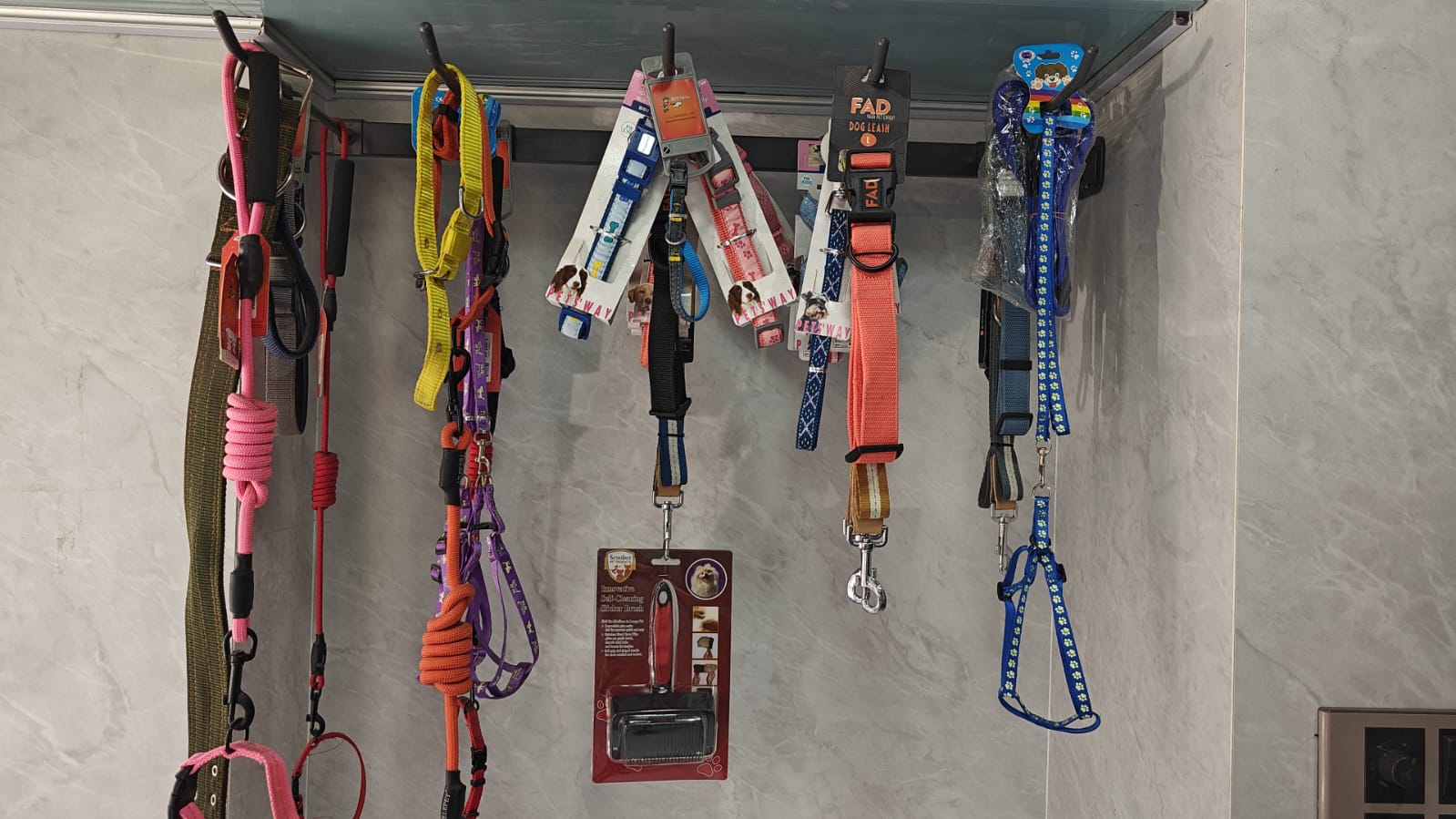 The Perfect Companion: Transforming Walks with the Right Dog Belt