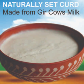 Embrace the Purity of A2 Gir Cow Milk: A Health Revolution for Indian Families