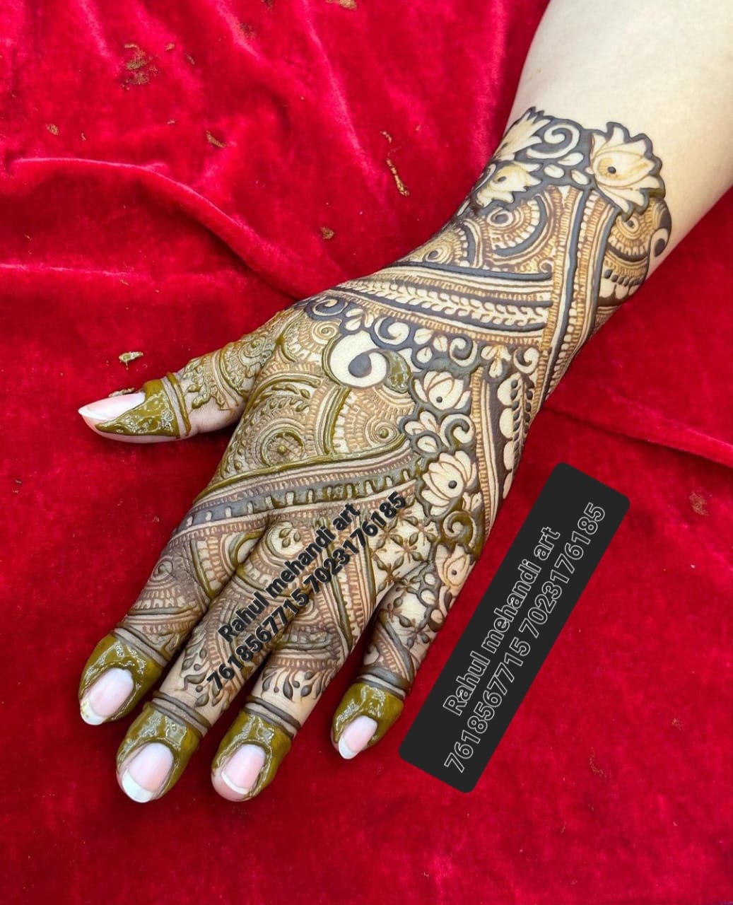 Capturing Celebrations: Unveiling the Art of Designer Mehndi in Jaipur