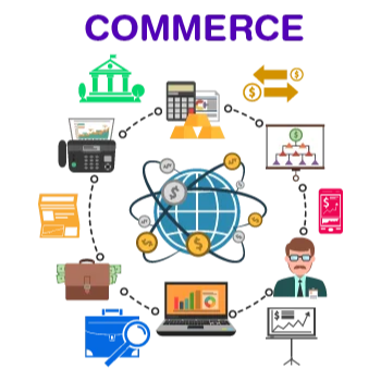 Empowering Future Leaders: Navigating the Path to Success with Commerce Education