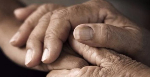 Empowering Change: How NGOs Can Overcome Challenges with Expert Guidance