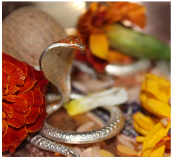 Finding Peace: How Narayan Nagbali Puja Transformed Meera's Life