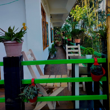 Discover the Tranquil Escape at Alpine Lepchajagat: A Haven for the Overworked Urbanite