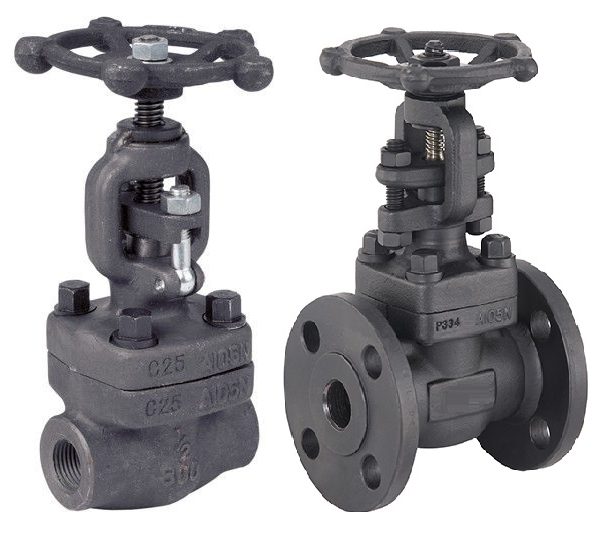 Solving Industrial Challenges with Precision: The Story of Steam and Gate Valve Solutions