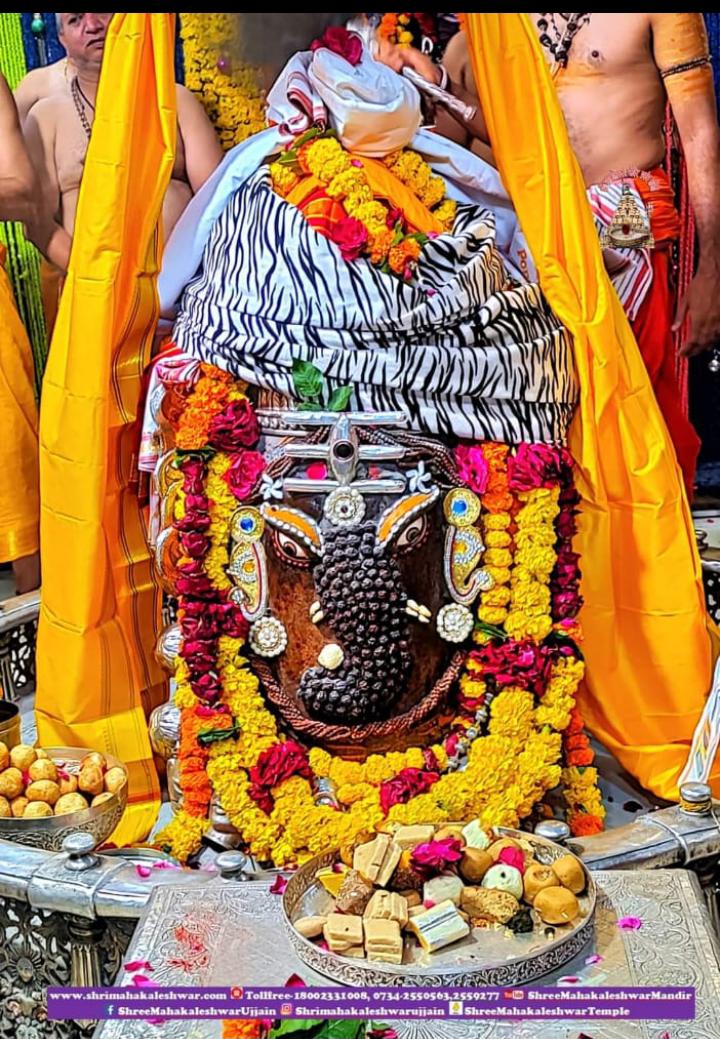 Transform Your Life: The Power of Sankalp to Fulfill Your Desires from Home