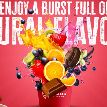Indulging in Joy: How Premium Ice Cream Flavours Transform Lives