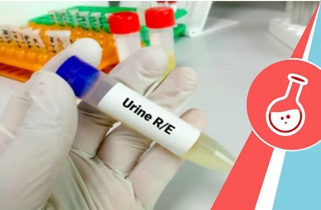 Transform Your Health Journey: How Urine R/M Changed Ananya's Life