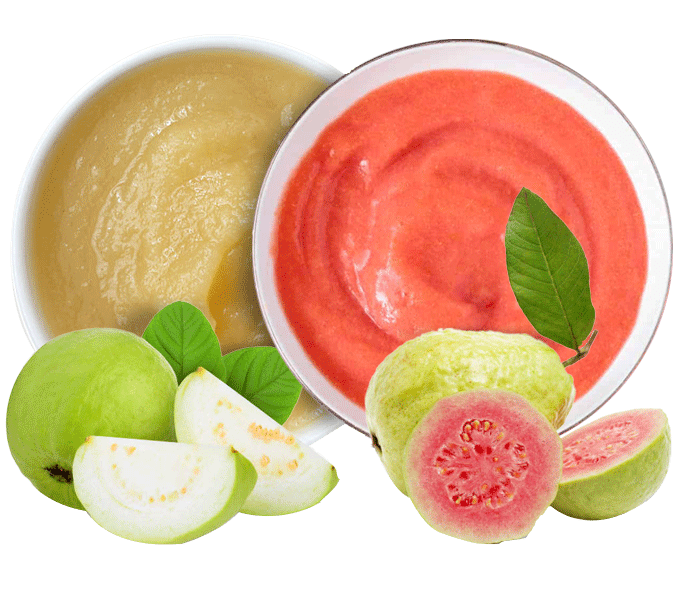 Discover the Taste of Tradition: Premium Red and White Guava Pulp for Authentic Indian Flavors