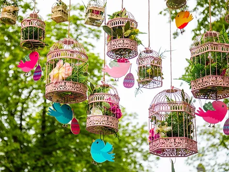 Transforming Celebrations: How Shiv Shakti Lawn Decoration Solves Your Event Planning Woes