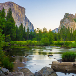 Exploring India's Wilderness: Find Your Perfect Escape with National Parks Tour Packages