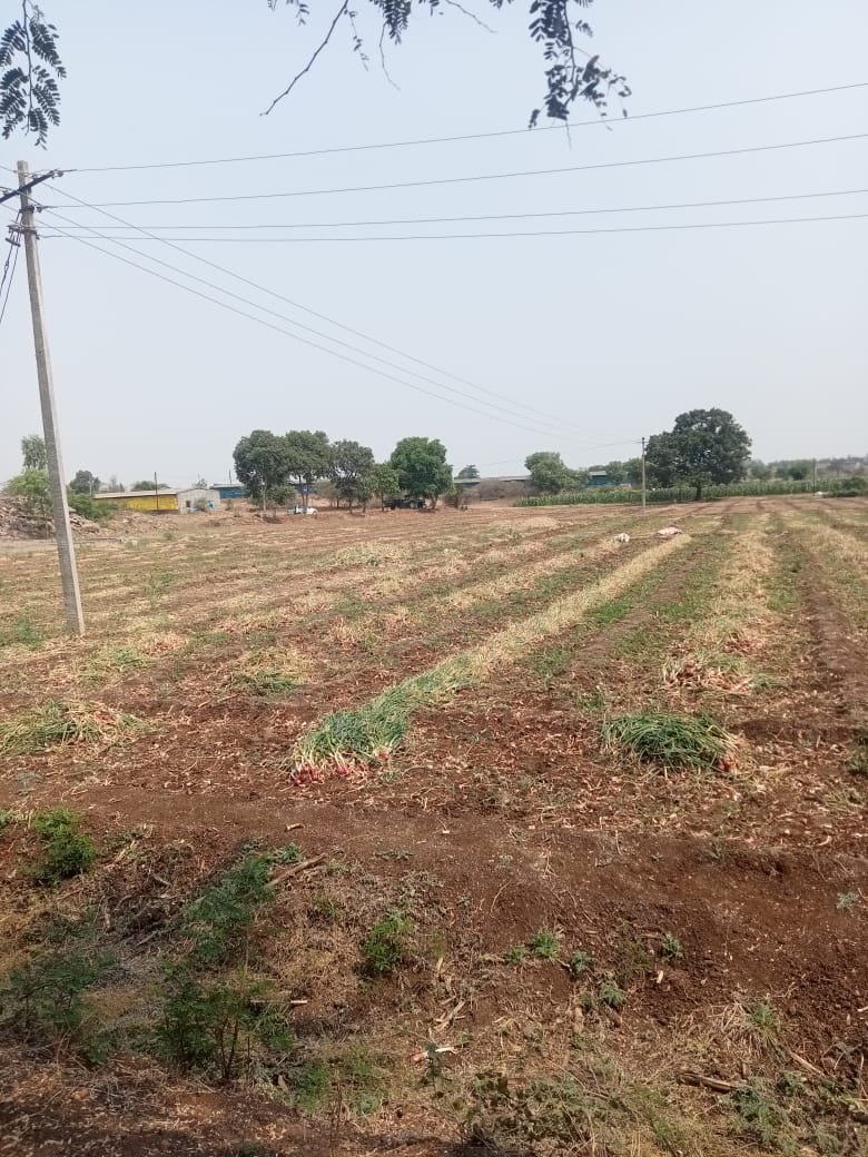 Discover Your Dream Plot: Solving the Land Ownership Puzzle for Aspiring Indian Homeowners