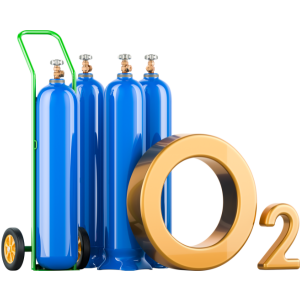 Breathing Life into Homes: How Oxygen Support Equipment Transforms Lives