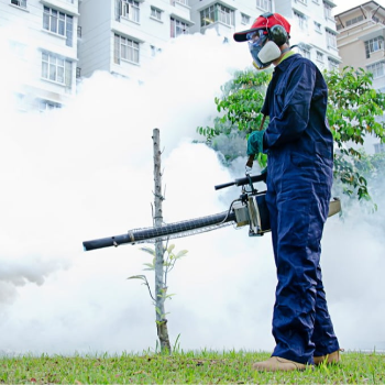 Transforming Lives: How Fumigation Services Defeat Pests and Restore Peace