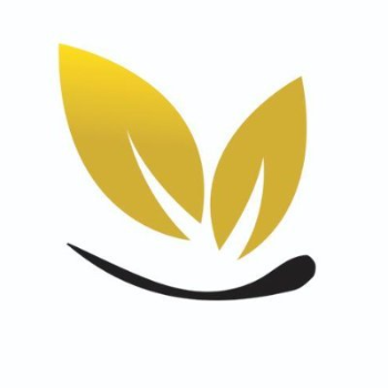 Hair Loss Solutions & Scalp Treatments in Mansarovar Jaipur – Derma Magnetica Clinic