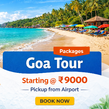 Empowering Small Businesses: Sunil’s Journey with the All-in-One QR Solution