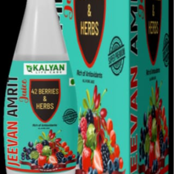 Jeevan Amrit Juice in Govandi West Mumbai – natural Ayurvedic wellness support by Arz Veda | ARZ VEDA