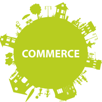 Empowering Commerce Students with Prayog Institute: A Premier Educational Establishment in Indore