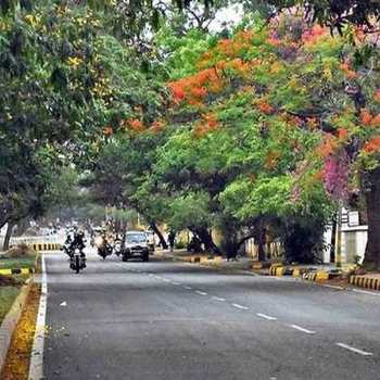 From Carpets to Car Seats: Expert Cleaning Services at Kunal's Dry Cleaners and Laundry in Indore