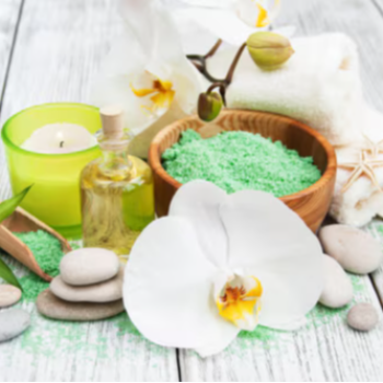 Discover Ultimate Relaxation at The Ark Spa And Salon in Indore