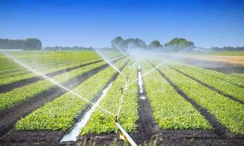 Transform Your Farming: How Drip Irrigation System Can Revolutionize Your Crops
