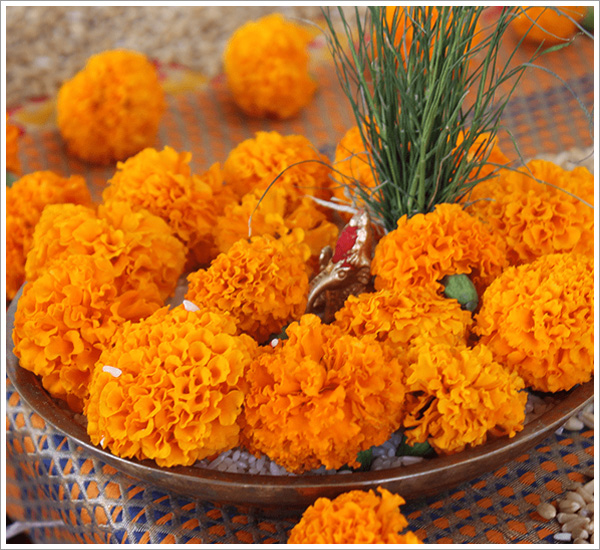 "How Tripindi Shraddh Puja Helps Alleviate Generational Karma: A Client’s Journey"