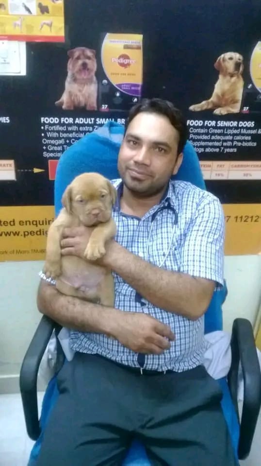 The Ultimate Solution for Pet Owners: Discover the Magic of Tanwar Pet Hospital